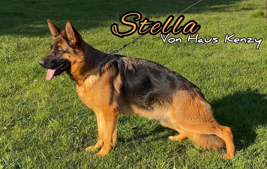 Stella Von Haus Kenzy