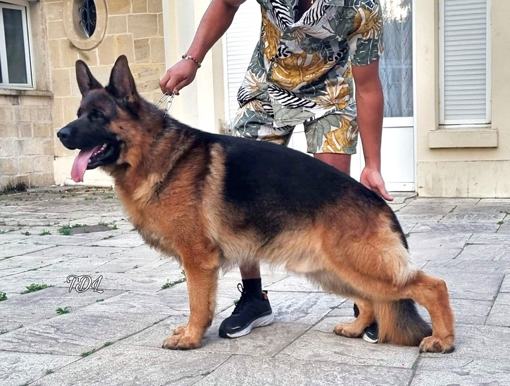 Ragnar Von Haus Kenzy