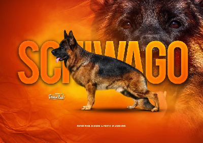 CHIOT