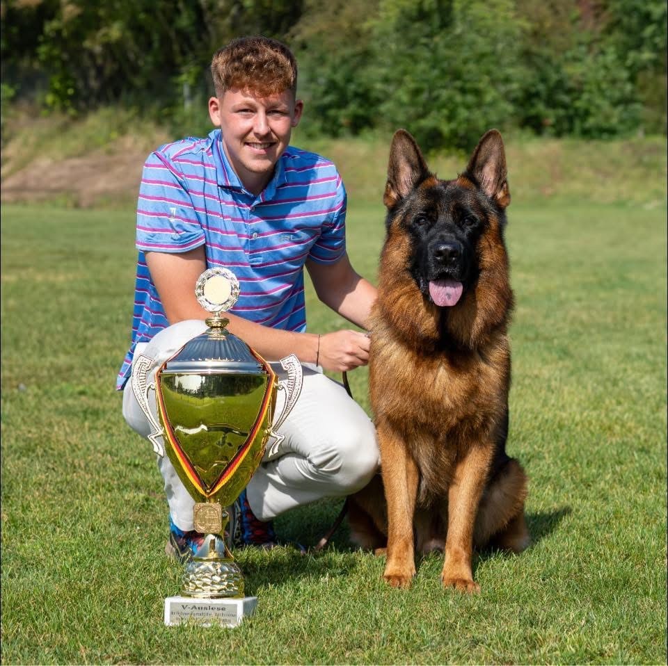 Von Haus Kenzy - Chiots disponibles - Berger Allemand
